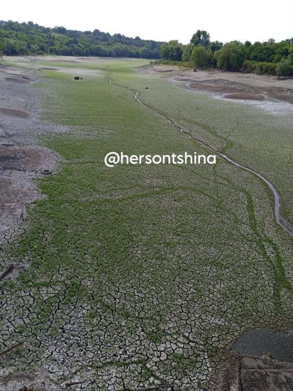 � ���� �������� �������� ��������� ������