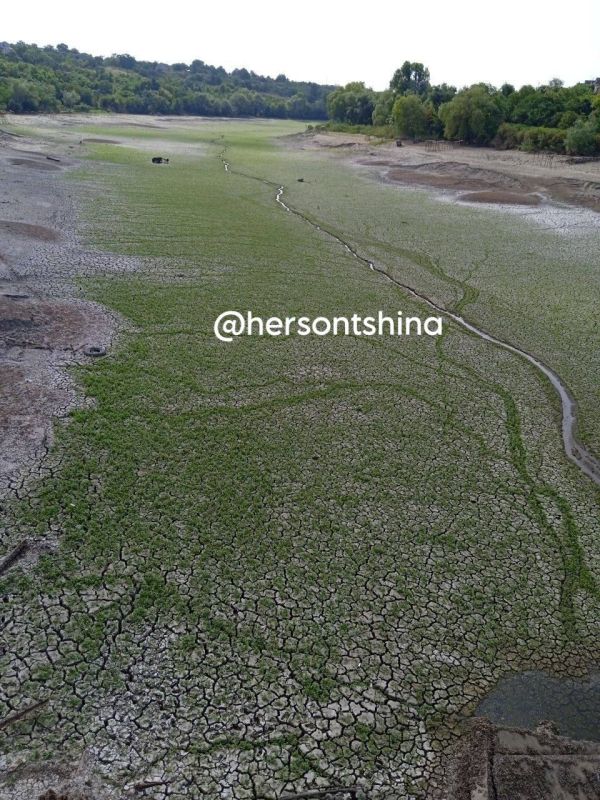 � ���� �������� �������� ��������� ������