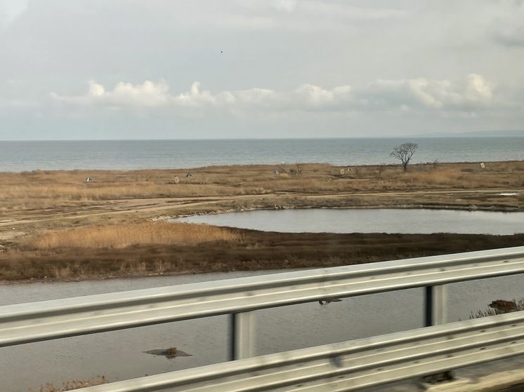 ������ �������� �������, �������, ������� �������� � ������� ������