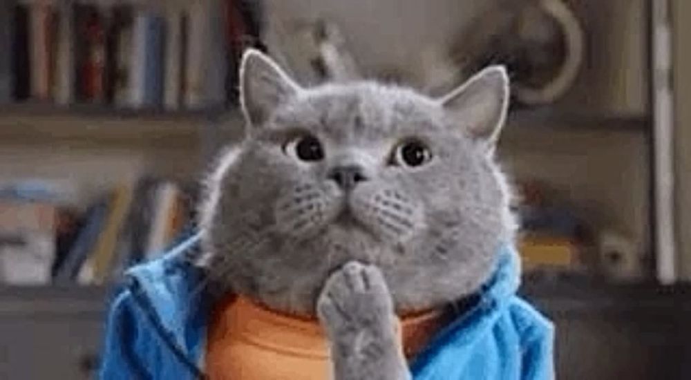 � �� ��������, ��� ��������� �������� ����?