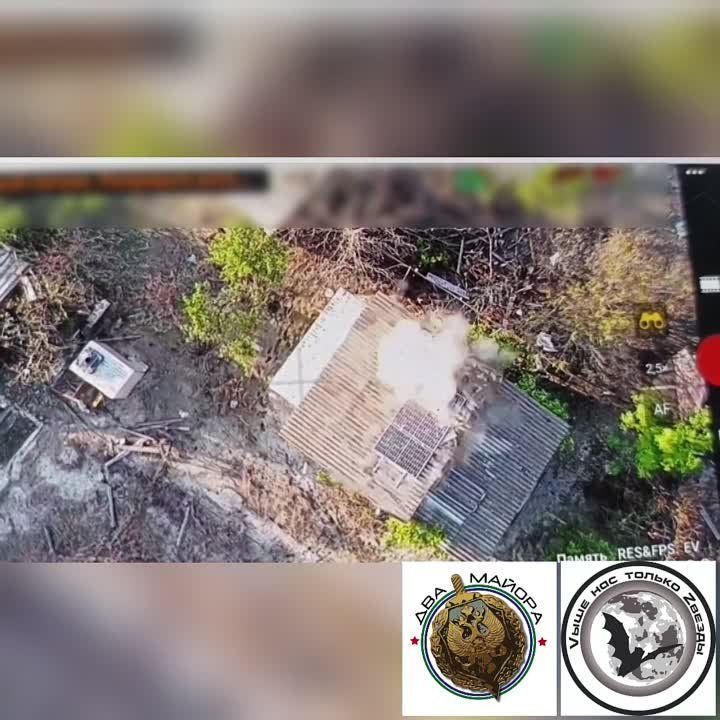 ���������� �����������, ���� 2023