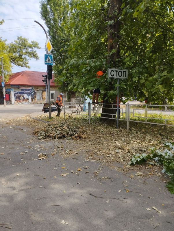 ��� " ���������" ����������������� �� ������� ������� � ���������� �� ���������� ����������� � ���� �� � �. ������