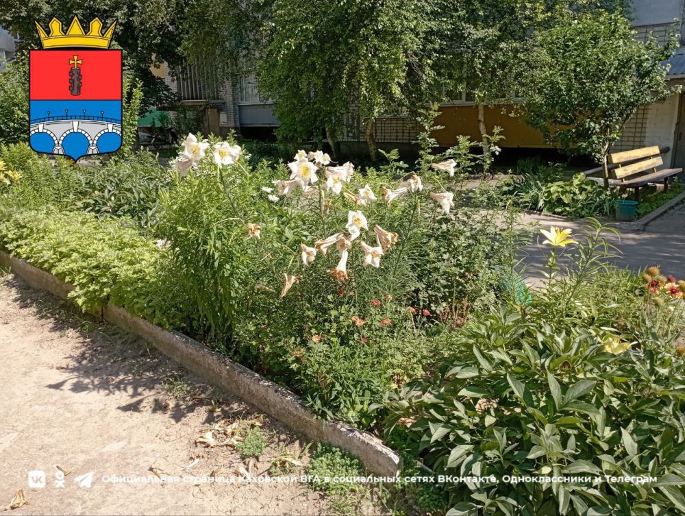 ������ ����, �������!. @VGA_Kakhovka