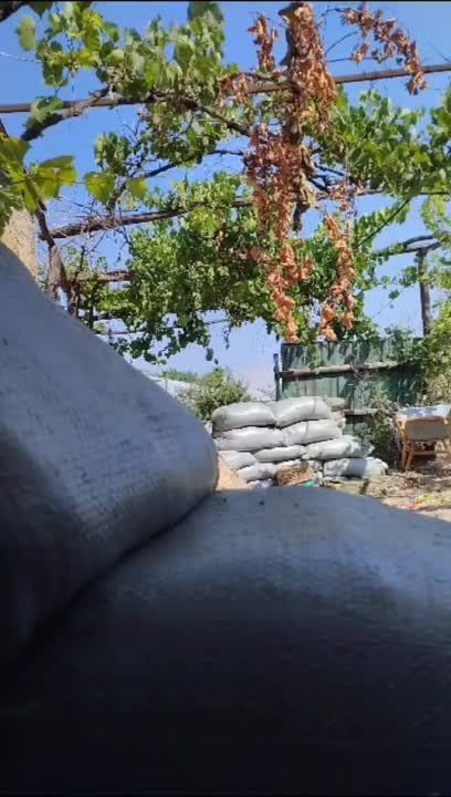 ���������� �����������, ����� ������ ������� ����������