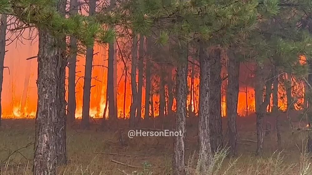 ���� �� �������: ����� ���� �� ����� ������ ������