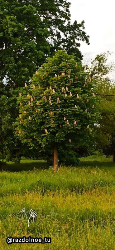 ������ ���� ������������!!!