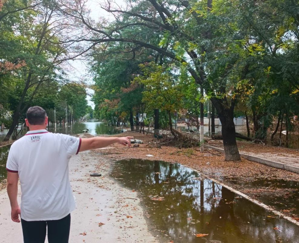 ������������ ������������� � ��� ���������� ������� ������ ���� ����� � ���������� ����������� ������������ ��������, ��������� ����������� ��������� ���