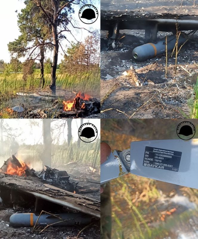 � ������ ���������� ���� ����� ����� ����������