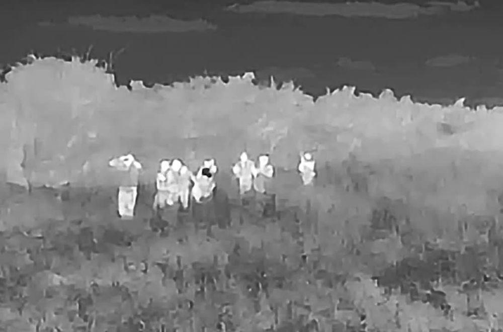 ����� ������ ���������� ������� ������� � ���� �� ����������� �����������