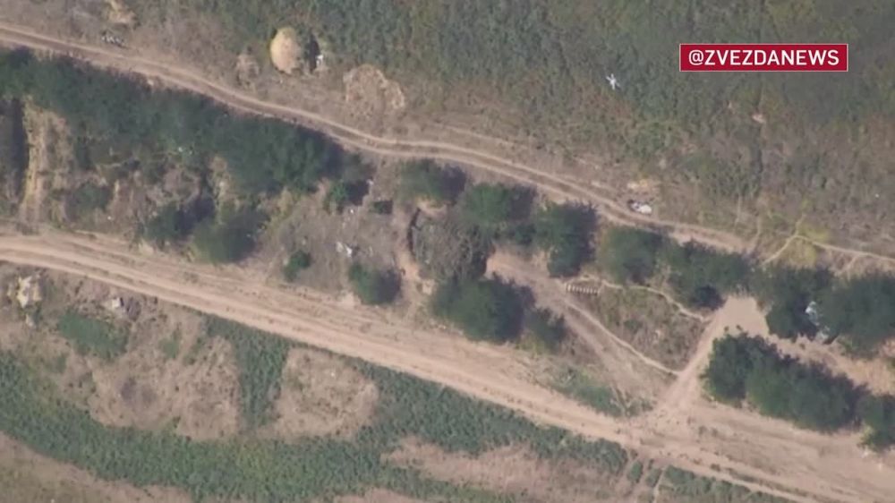 ����� ����� ������������� ����������� ������� �� ������ ��� �� ���������� �����������