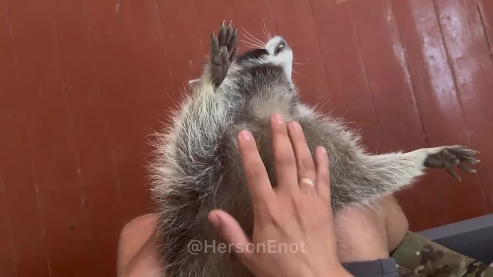 ���� �� �������: � ������ ����� ������, � �������� ����������