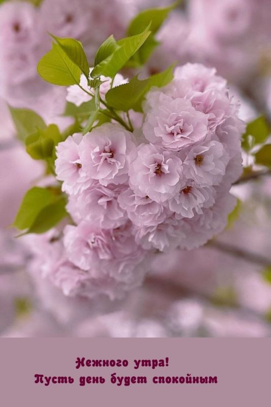 ������ ����. ������� � ������� ������� ����������� �� �����, ���� ��� ����� ����� �����. ��� �������. ����������� �� +20 ����� �� +34 ����