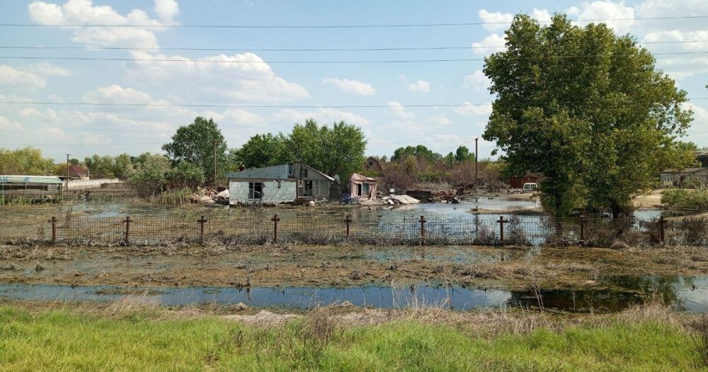 � 20 ���������� ������� ������������ ���������� ����� ���� ����� ������� �� ��������� ���