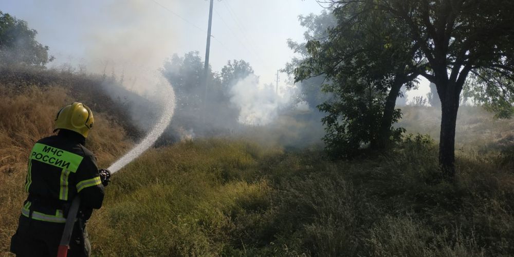 �� �������� ����� �������-������������ ������������� ����������� �� 12 ����������� ������