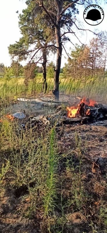 ������� ������� ����� ���� Bayraktar TB2 � ������ ���� ��������� ���������� �������