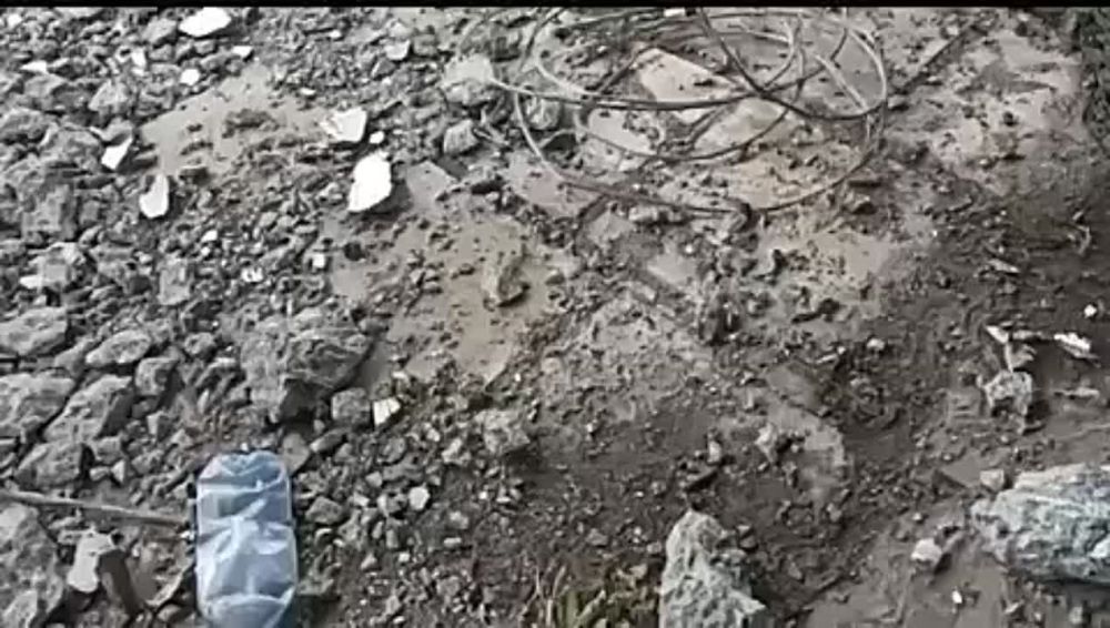 ���� ������. ��� ��, ��� �� ��� �������� � ���� ����������� ����������� ���������� ���