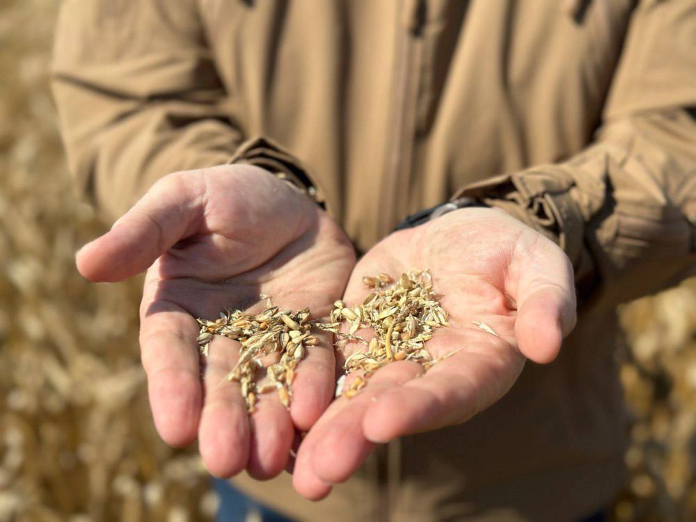 �������� ��������� - ���� �� �������� ����� ����� ��������� ����������