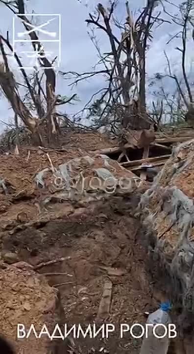 �������� �����: ������� ���������� ���� - ��������� � ��������� ��� ��������