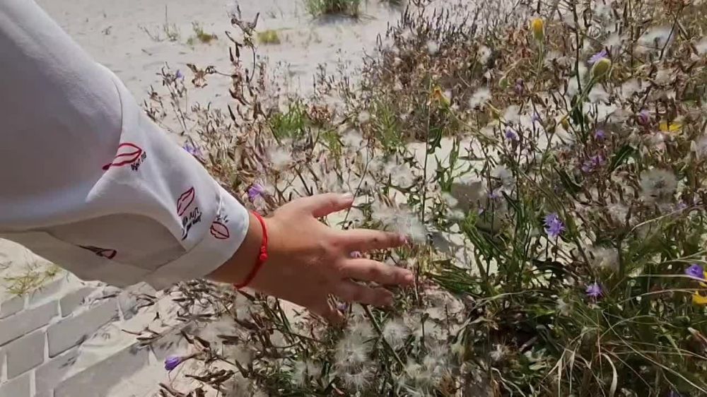 ������� 130 ��� �� ��� �������� ��������� ������������� �����������