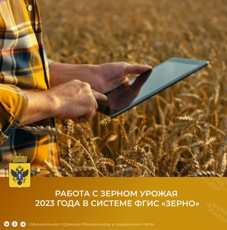 ���� ������: ������ � ������ ������ 2023 ����