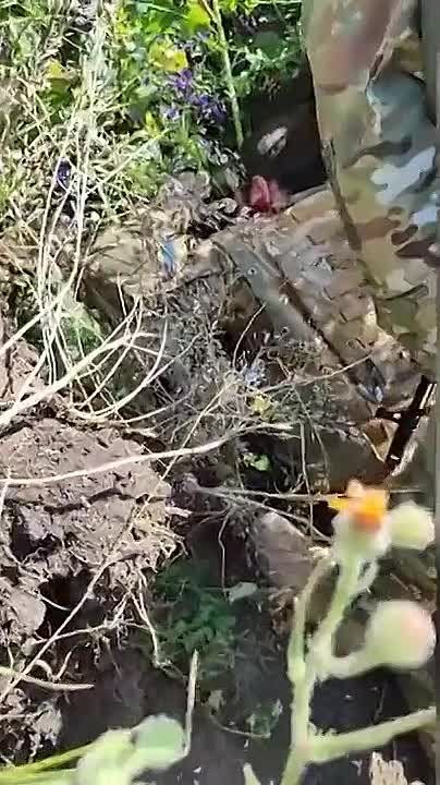 ���� ����������� ������. � ����� ������������ ����������� � ����������� ������������� ���������� ����� ������������� �������...