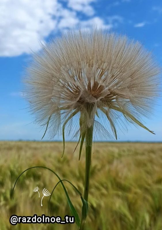 ����������!. ���������� ����! �����!