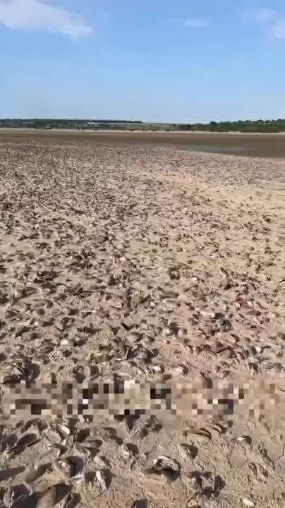 ��������� ������������� � ����� ����� �������� ����� ������� �� ��� �������� ���