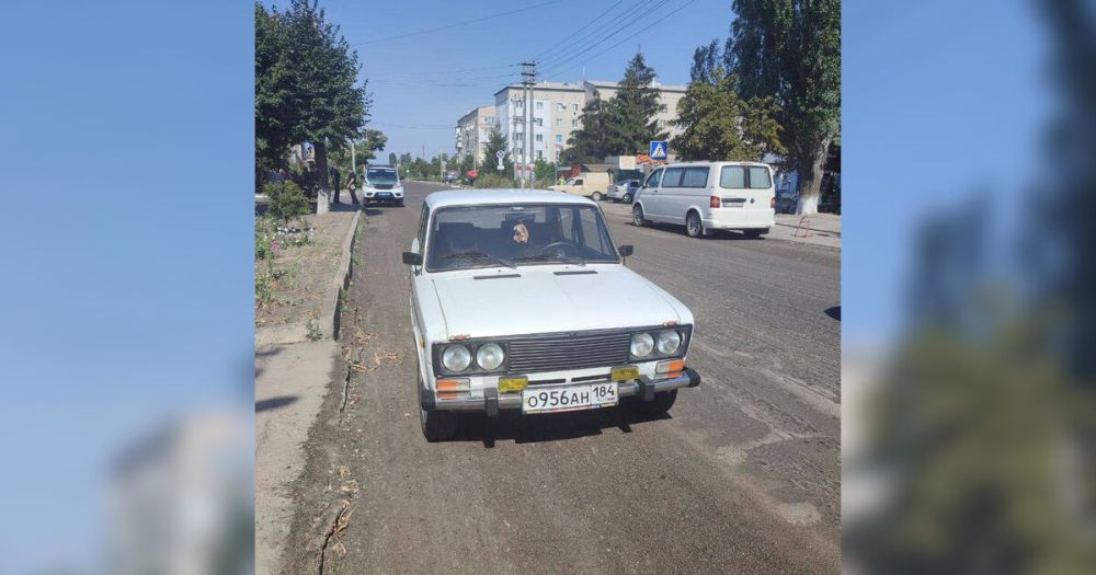 ������������ �������� ������ ��������� �� �����������