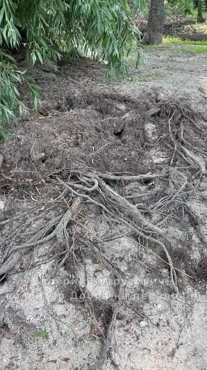 ������� ����������: ��� ���������� �������������: ��� ��� �� ���-���� ��������� �����