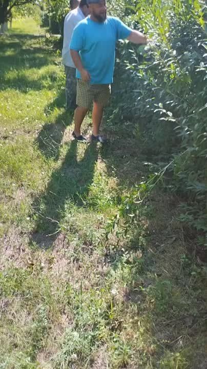 �������������������� ����� ����������������� � ������ ����