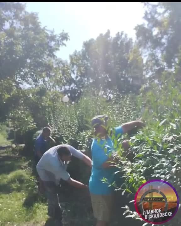 � ������� ������������ ��������������� ����������