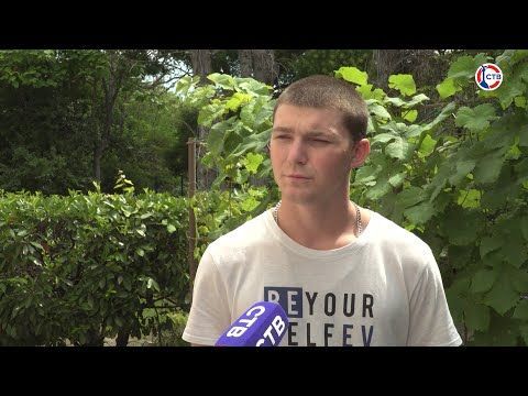 ����������� ��������� ��������: ������ ���������� � ������, ��� ������ ���� �� ��������