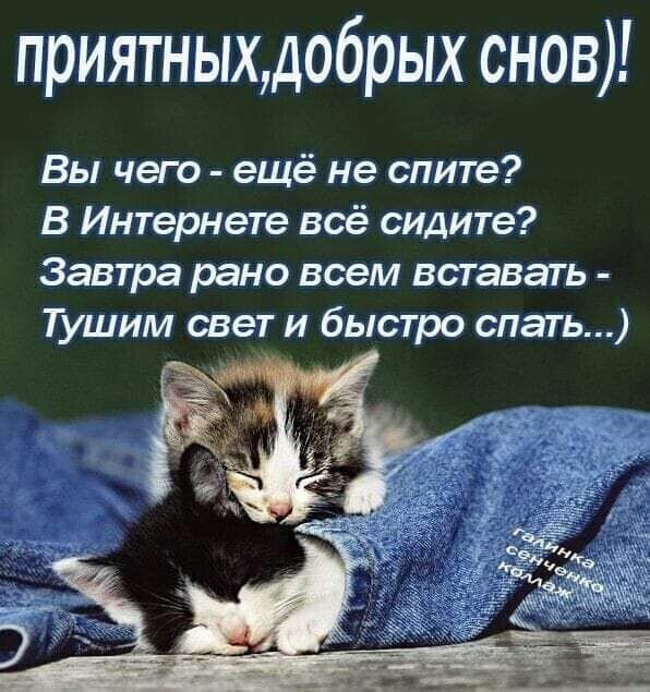 ������ ����, ������, ������ � ��������! ���������� �����