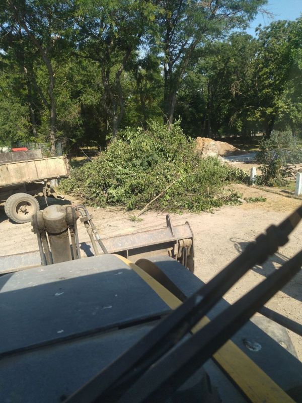 ������������� ����������� ����������� ������ ���������� ������ �� ��������������� ���������� �������