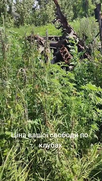 ������������ ���������� ���� Vampire �������� ������������