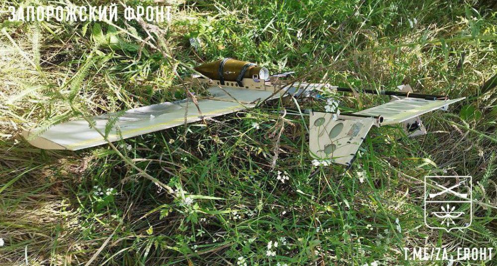 ����-��������� ���, ���������� �������������� ��� �� �� � ������ �.�. ������ �� ����������� �����������