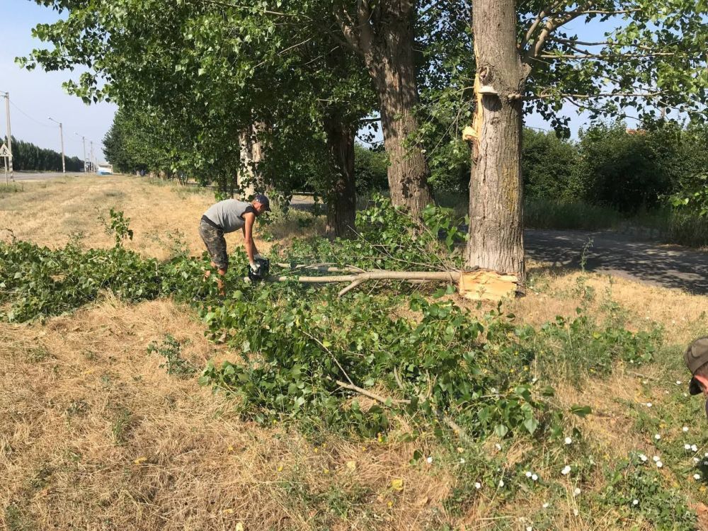 ����������� �����������������