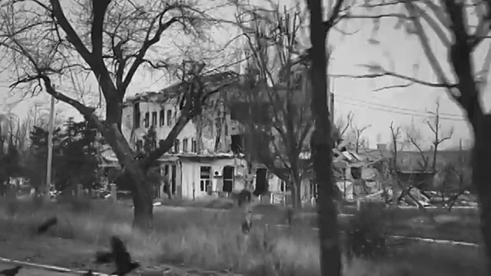 SHAMAN �������� ����, ������ � ���� ���������� ���