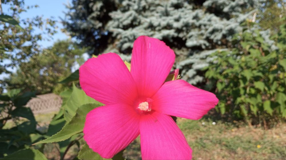 �������� ������� �����������!