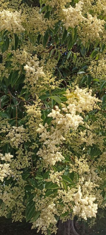 � ������ �����, �����������!