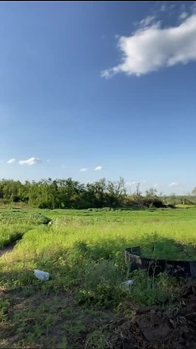 ��� ��� ����� Leopard 2A4 � Leopard 2A6 ��������� ������������ ���������� �� ����������� �����������.