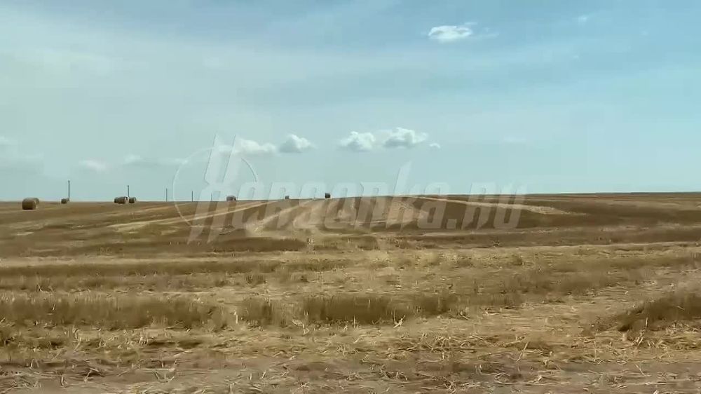 � ���������� ������� �������� ������ ������ � ��������� ���������.�� ��������� ������� ������ ��������