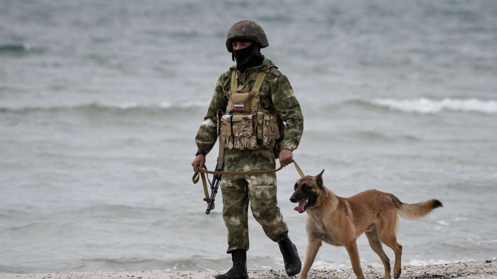 ����� ������� ����������� �����: ���������� ��� ����� � 60 �������� ���