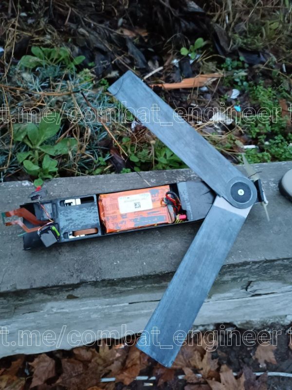 ����� �����: ���� ������� ������� ��������� ������������ ������� ������ ������ �� ���������� �����������