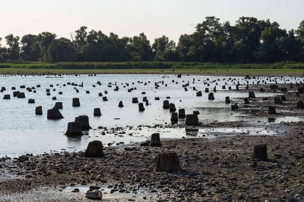 ����� ��������� ������ �� ��� ������ ������� ���������� �������� ����������� ��� ������������� ��������