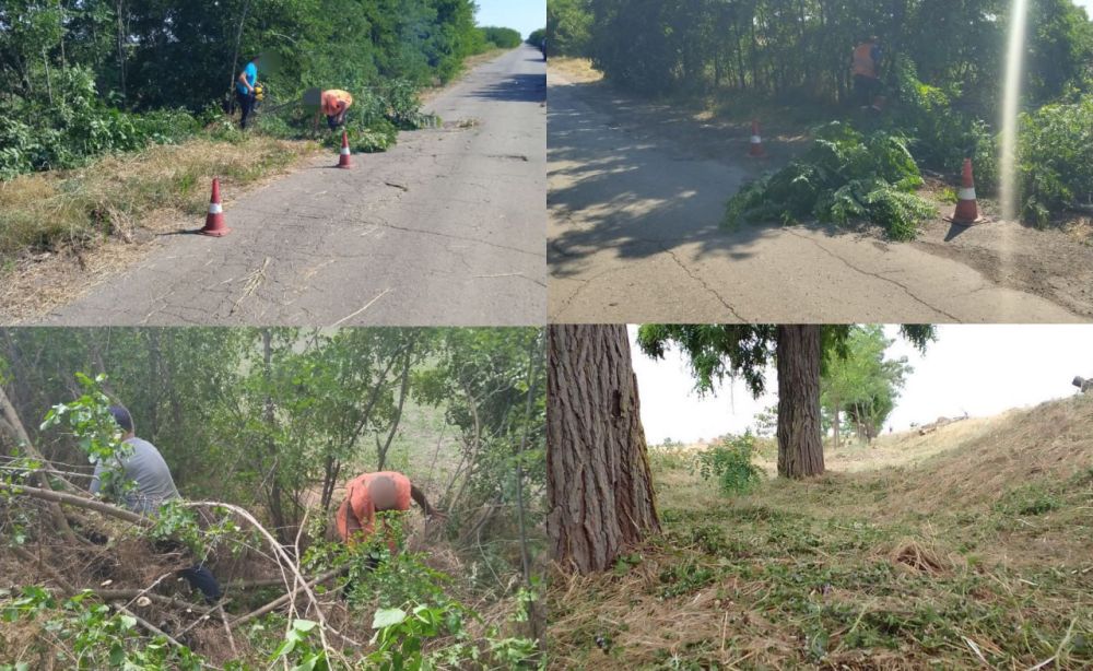 ������� ���������� �������� ����������� �� ��������� ���������� �� ���������� ������ �������� � ����������