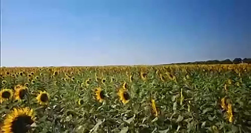 ����� ������� ������� �� �������� ����� ������, ��� ���������� ����� � ����, ������� �����������