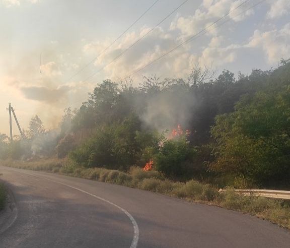 ������� ����� ������������ ������ ��������� ������������ �������� � ���������������� ������ ������