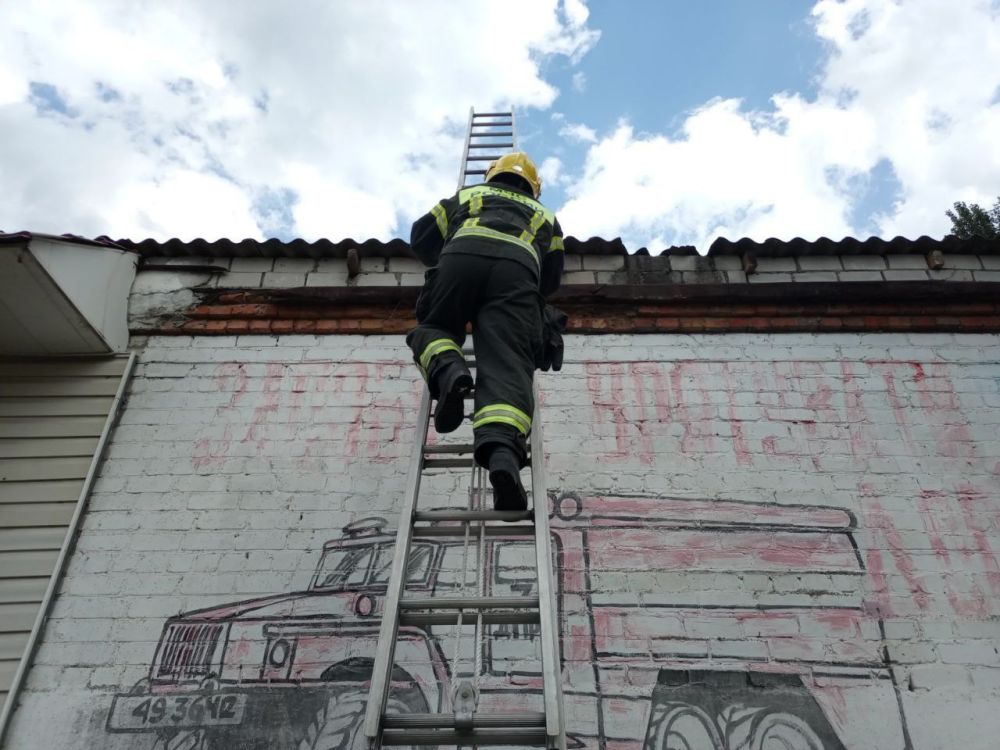 �������-�������� ���������� - ���� �� �������������� ����� ����������������� ����������