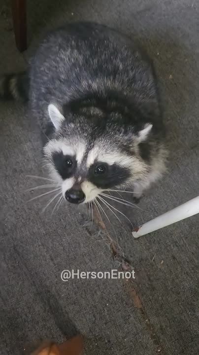 ���� �� �������: ���� ��������� �������� �������� �� ������ ��� �������� ����� ���� ������� �������